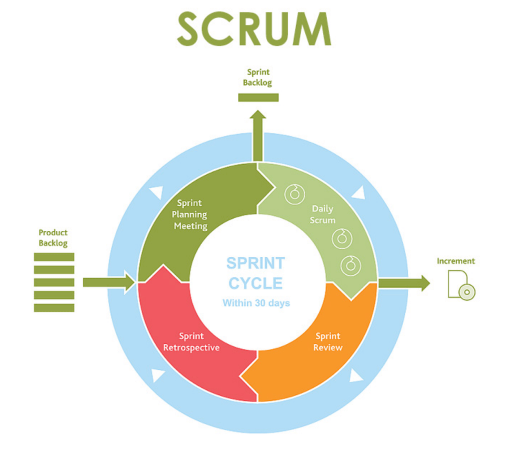 Our Software Development Process - Tiburon Data
