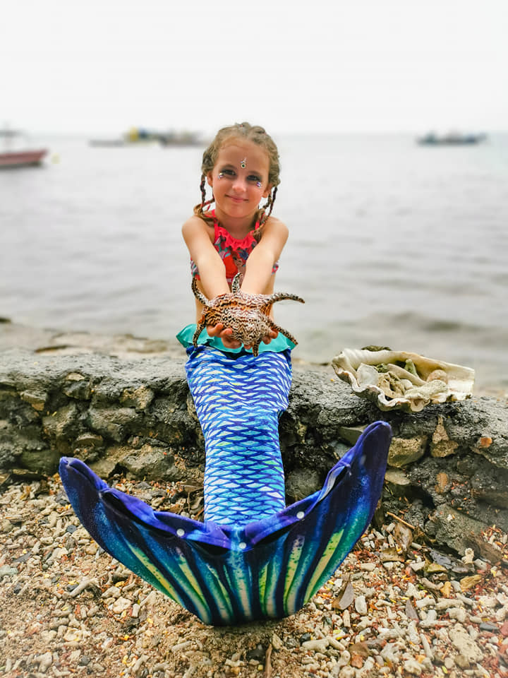 211145235_4458583134154462_1953194435529876930_n svg+xml;charset=utf