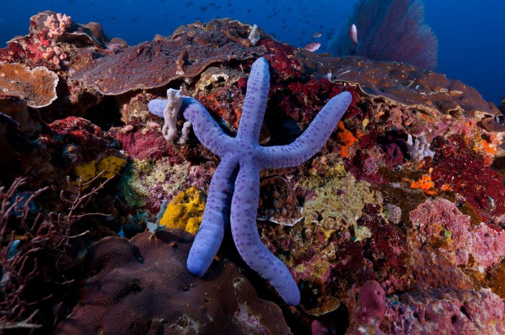 EGR-UW-2 svg+xml;charset=utf