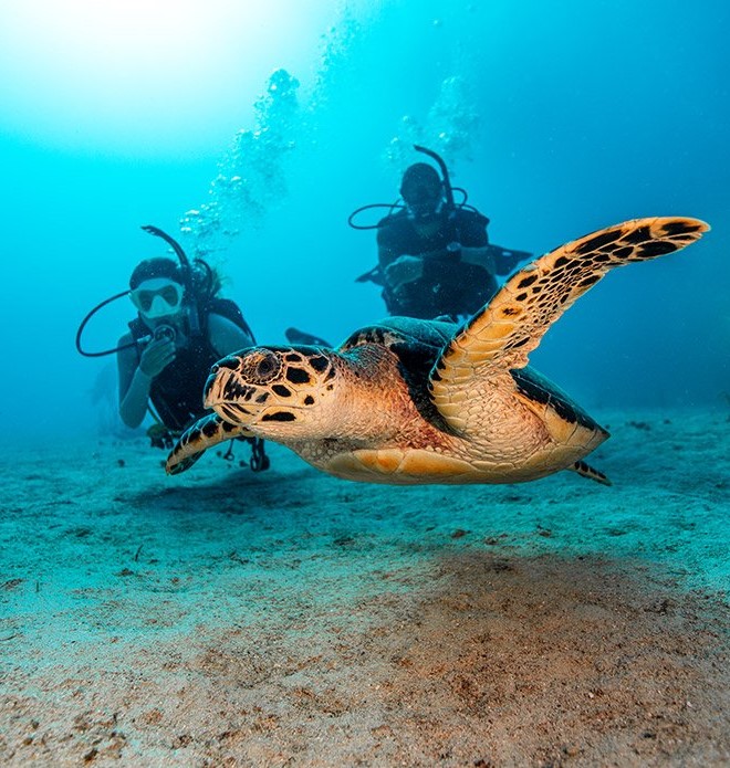 OW-Gallery-hero-3-1ek2N6fk svg+xml;charset=utf