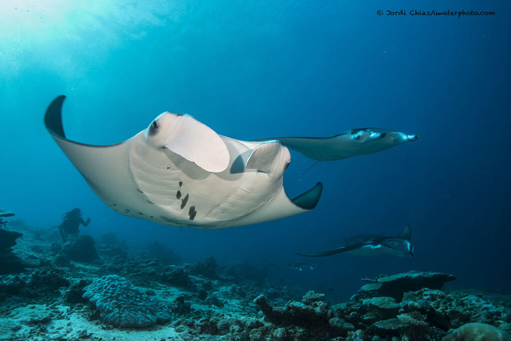 jordi_DSC0223 svg+xml;charset=utf